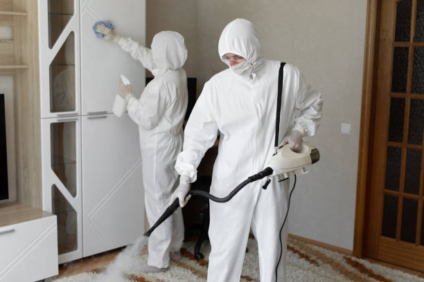 Certified Mold Removal in White Sulphur Springs, WV