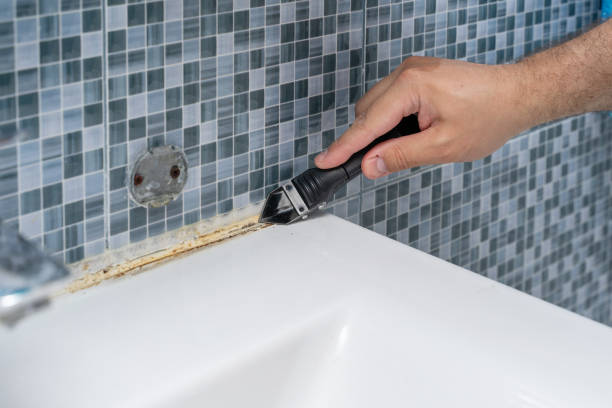 Office Mold Removal Services in White Sulphur Springs, WV